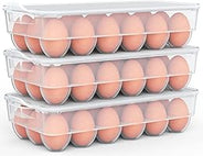 Egg Carton (giveaway)