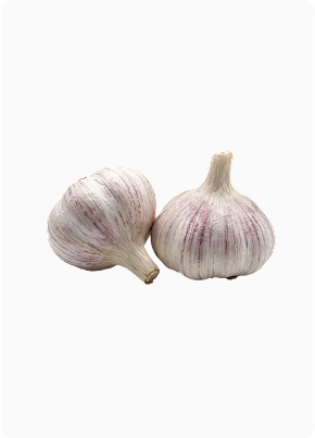 garlic
